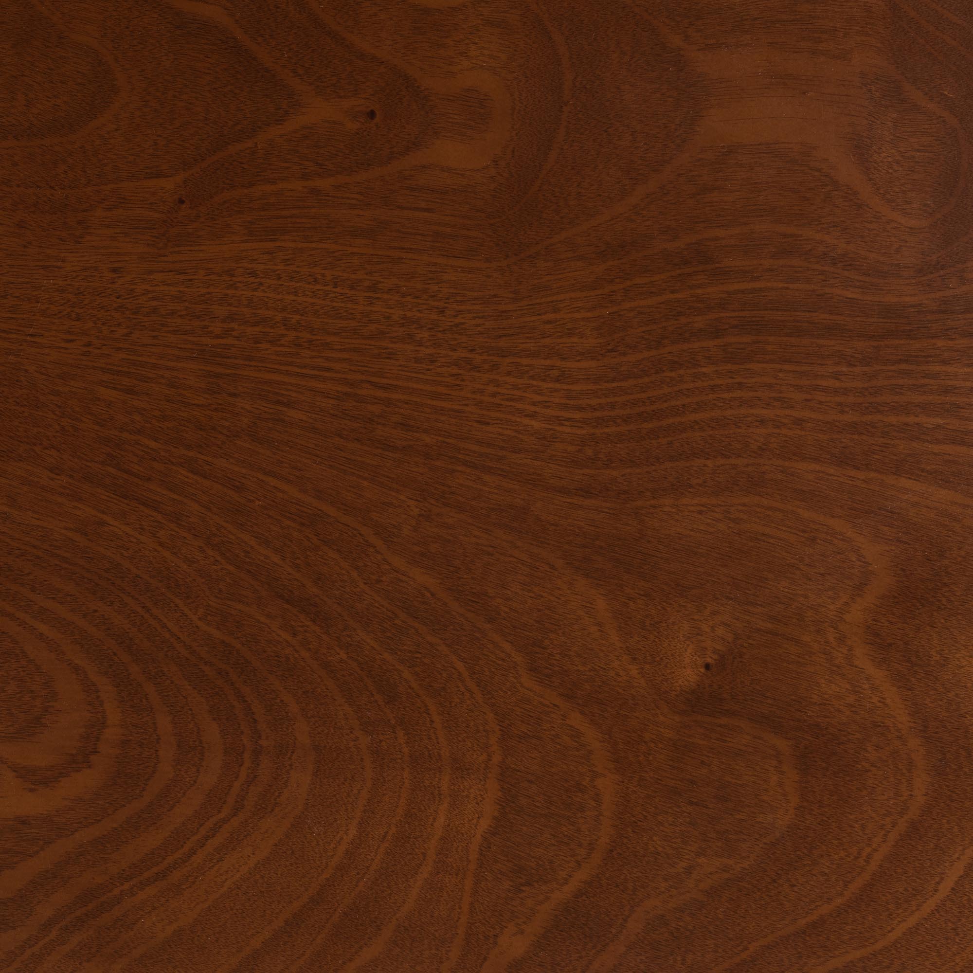 Eveline Modern Walnut Brown Finished Wood 43-Inch Dining Table