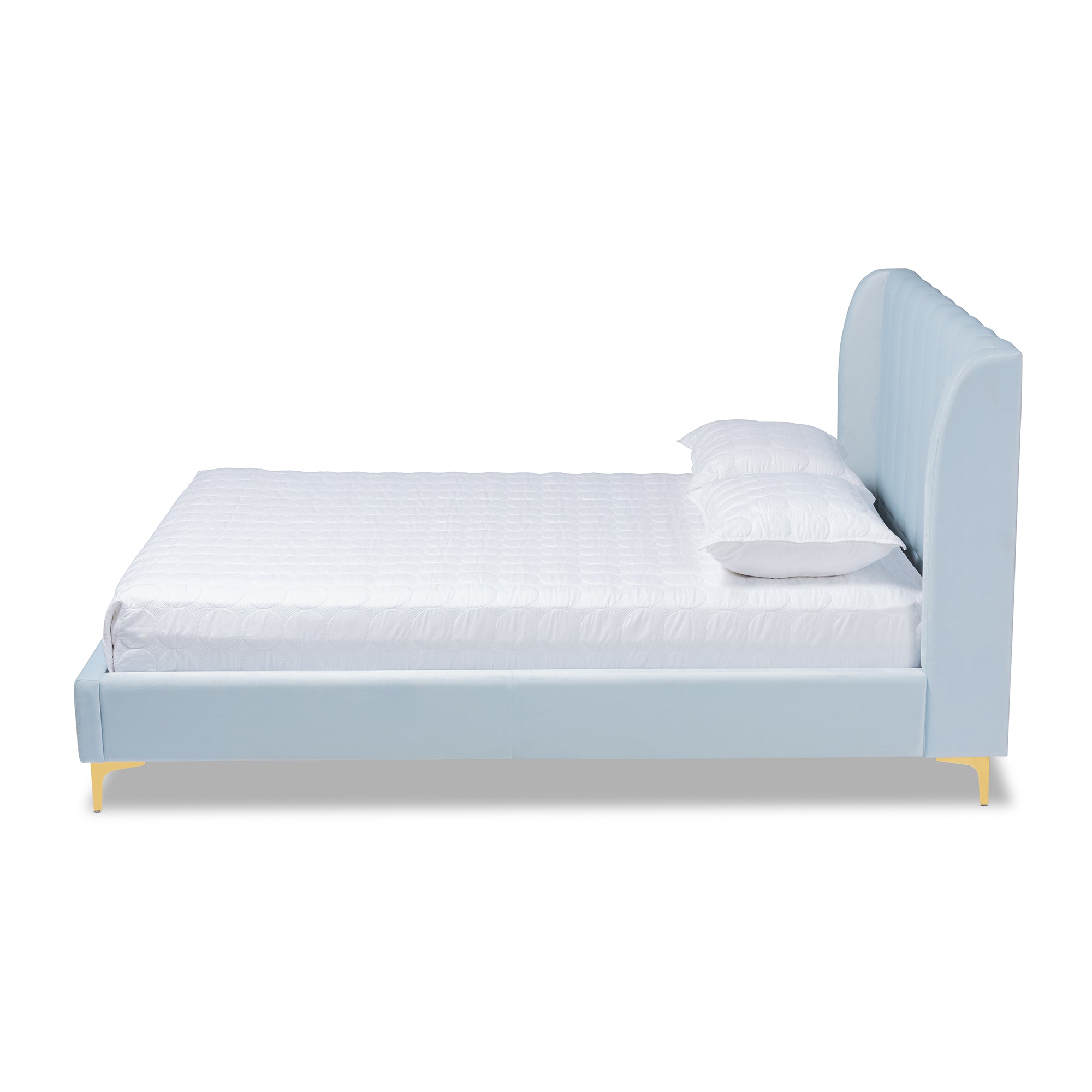 Saverio Light Blue Velvet Fabric Upholstered Queen Size Platform Bed with Gold-Tone Legs