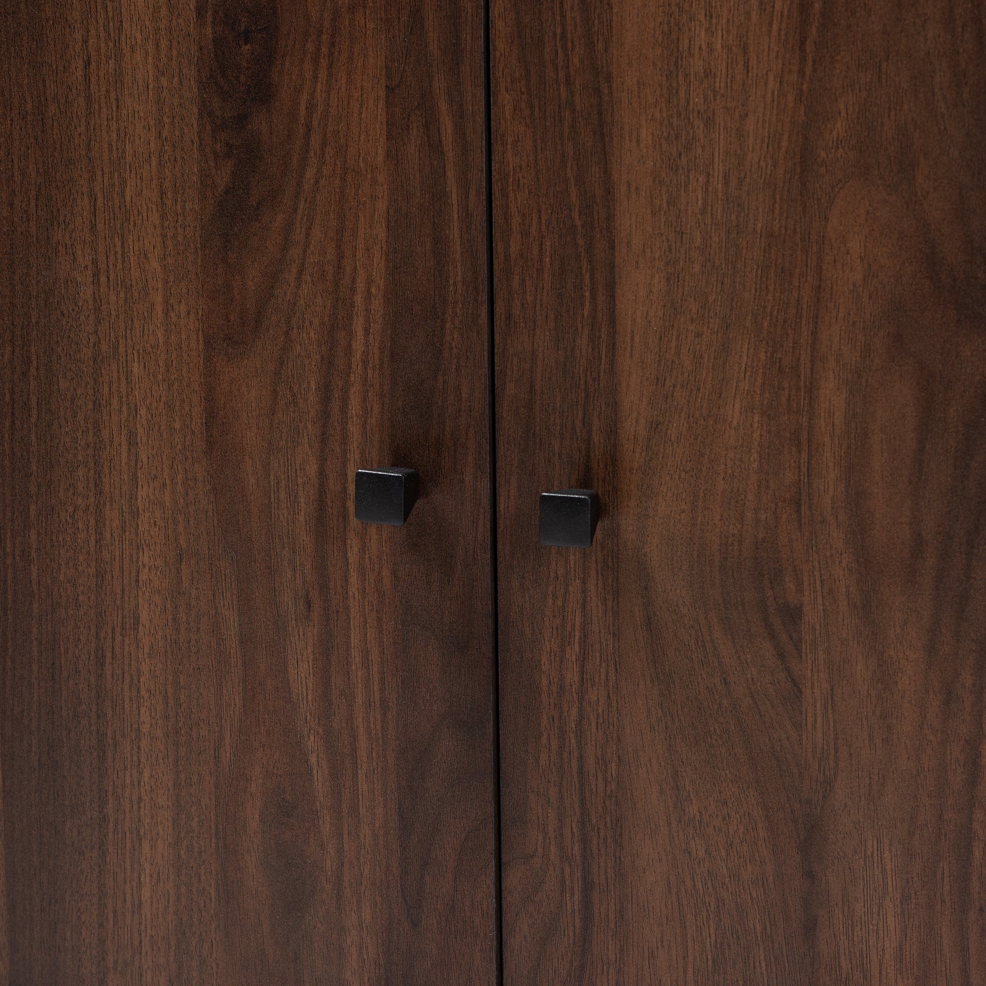 Rossin Modern and Contemporary Walnut Brown Finished 2-Door Wood Entryway Shoe Storage Cabinet