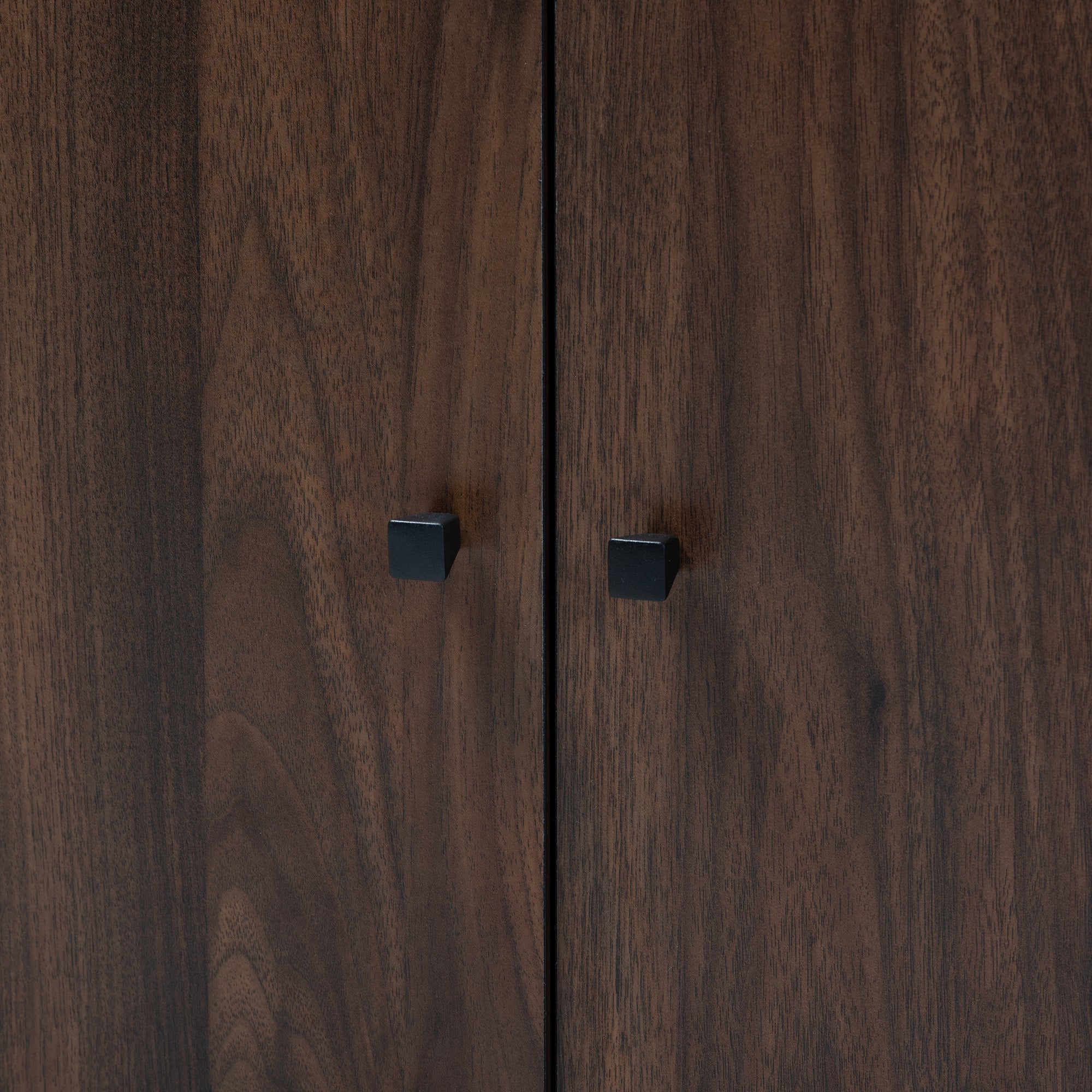 Rossin Modern and Contemporary Walnut Brown Finished 2-Door Wood Entryway Shoe Storage Cabinet with Open Shelf