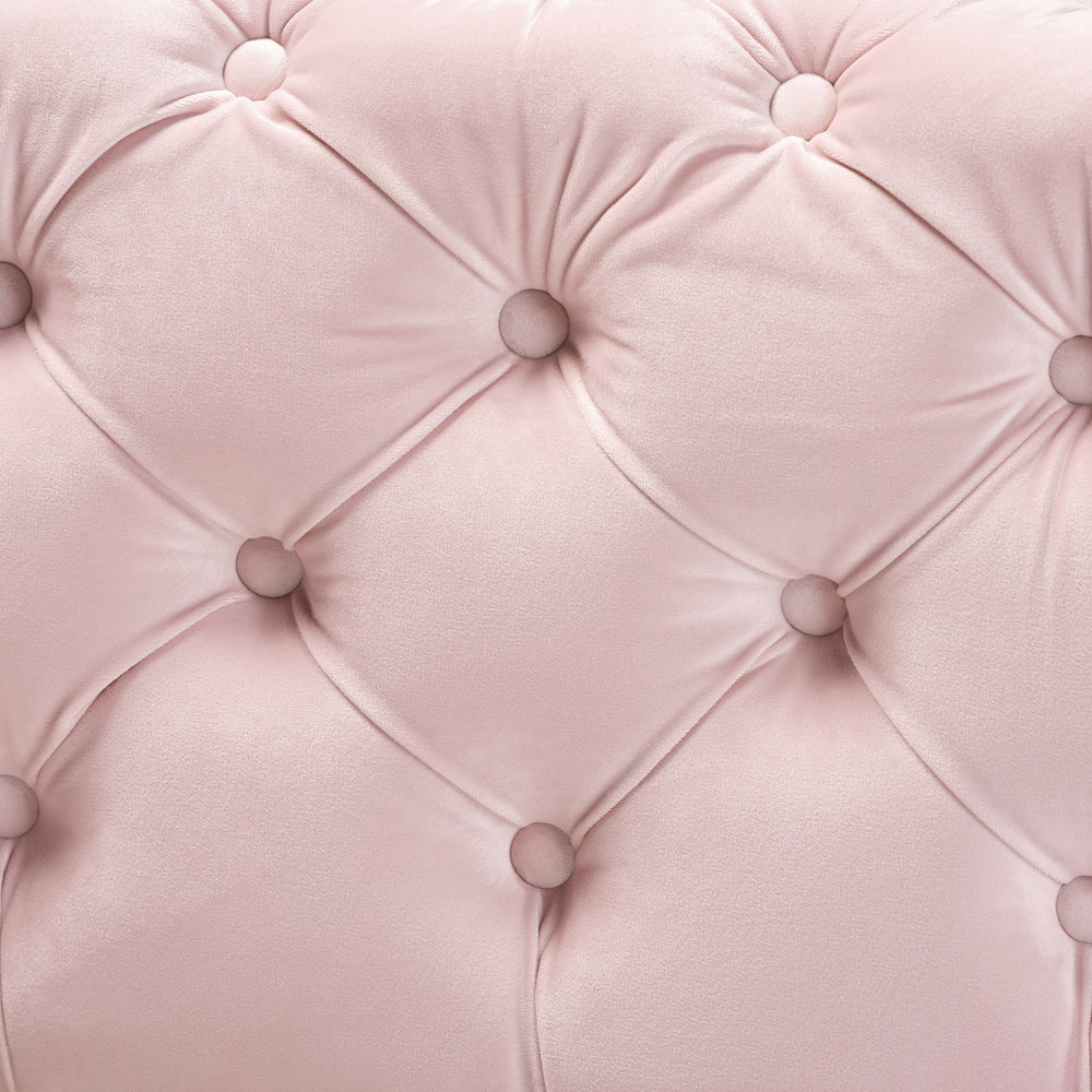 Avara Light Pink Velvet Fabric Upholstered Gold Finished Button Tufted Bench Ottoman