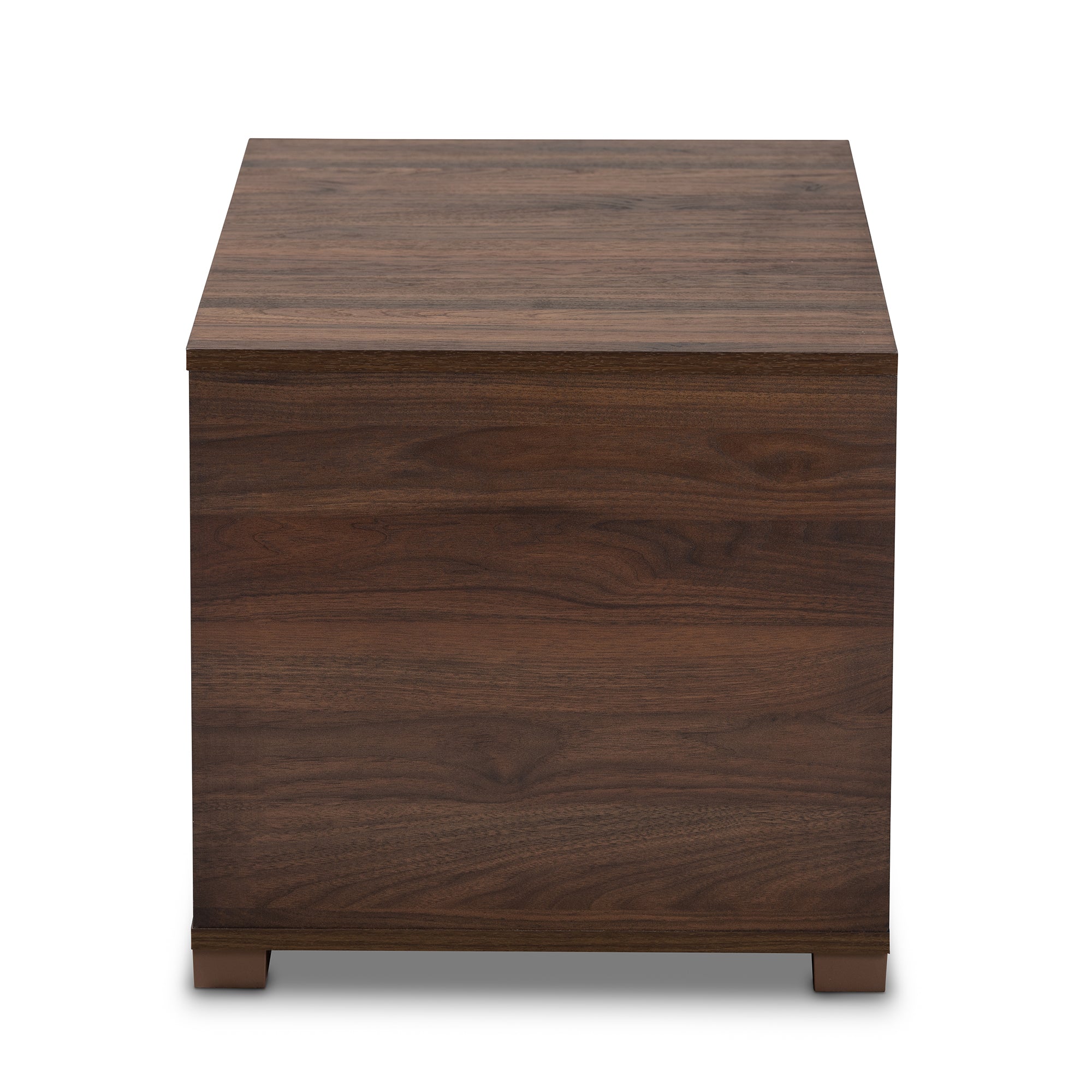 Jasper Modern and Contemporary Walnut Brown Finished 2-Door Wood Cat Litter Box Cover House