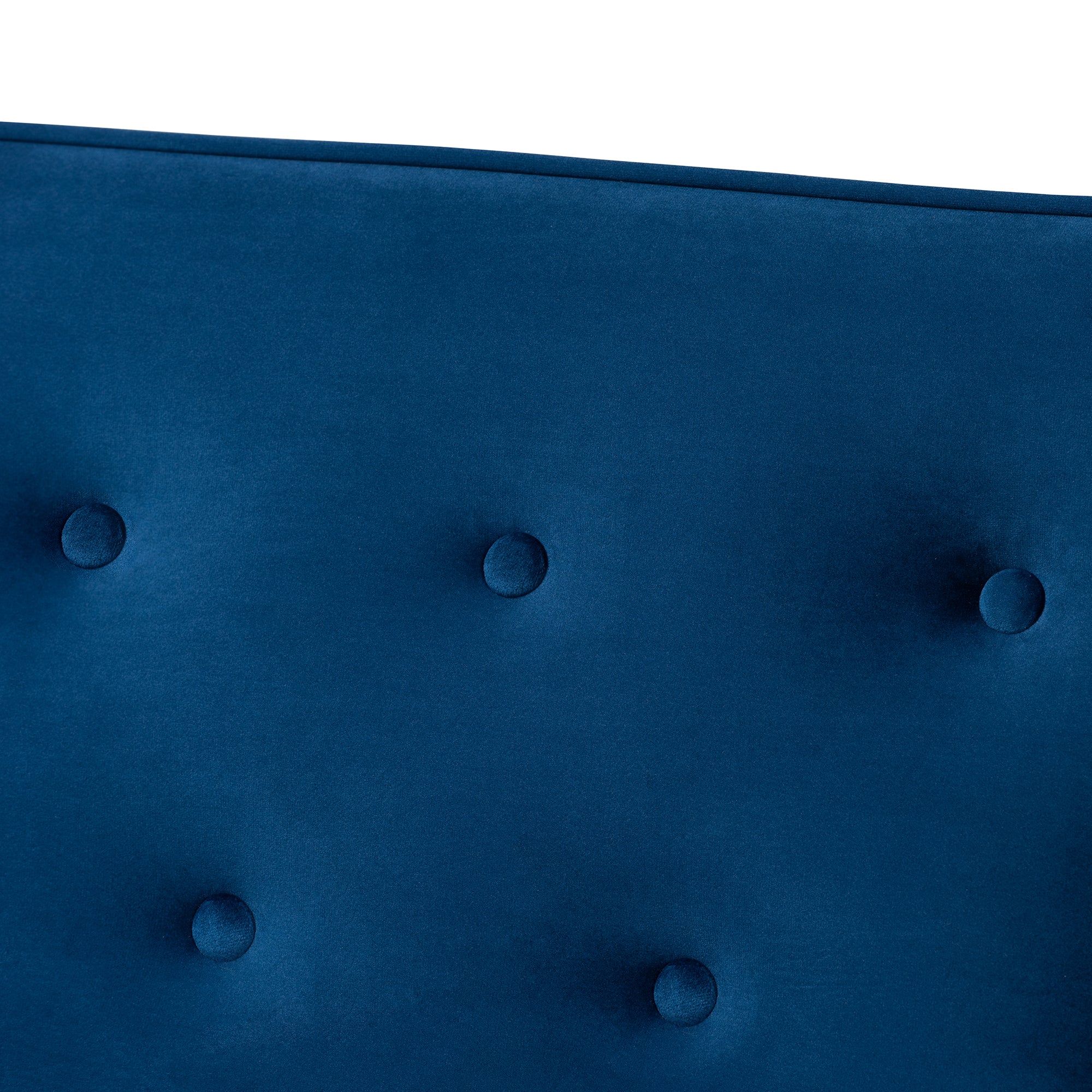 Sorrento Mid-century Modern Navy Blue Velvet Fabric Upholstered Walnut Finished Wooden 3-seater Sofa