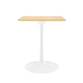 Lippa 24" Square Wood Dining Table, White Natural