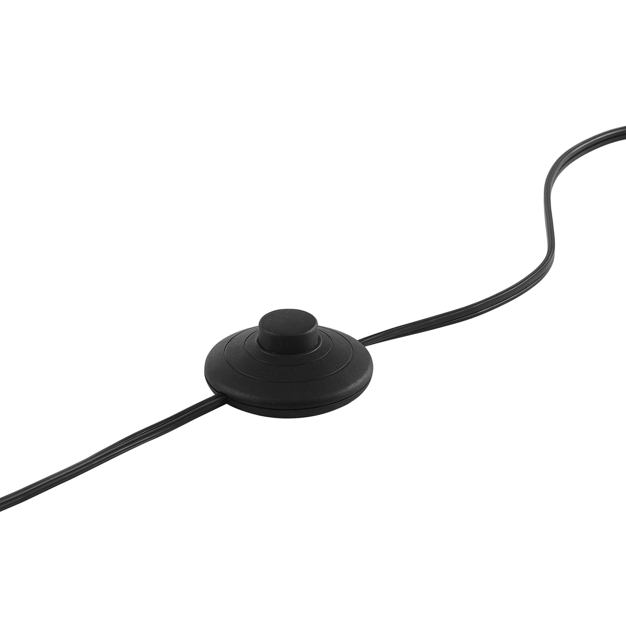 Silo Glass Globe Glass and Metal Floor Lamp, Black