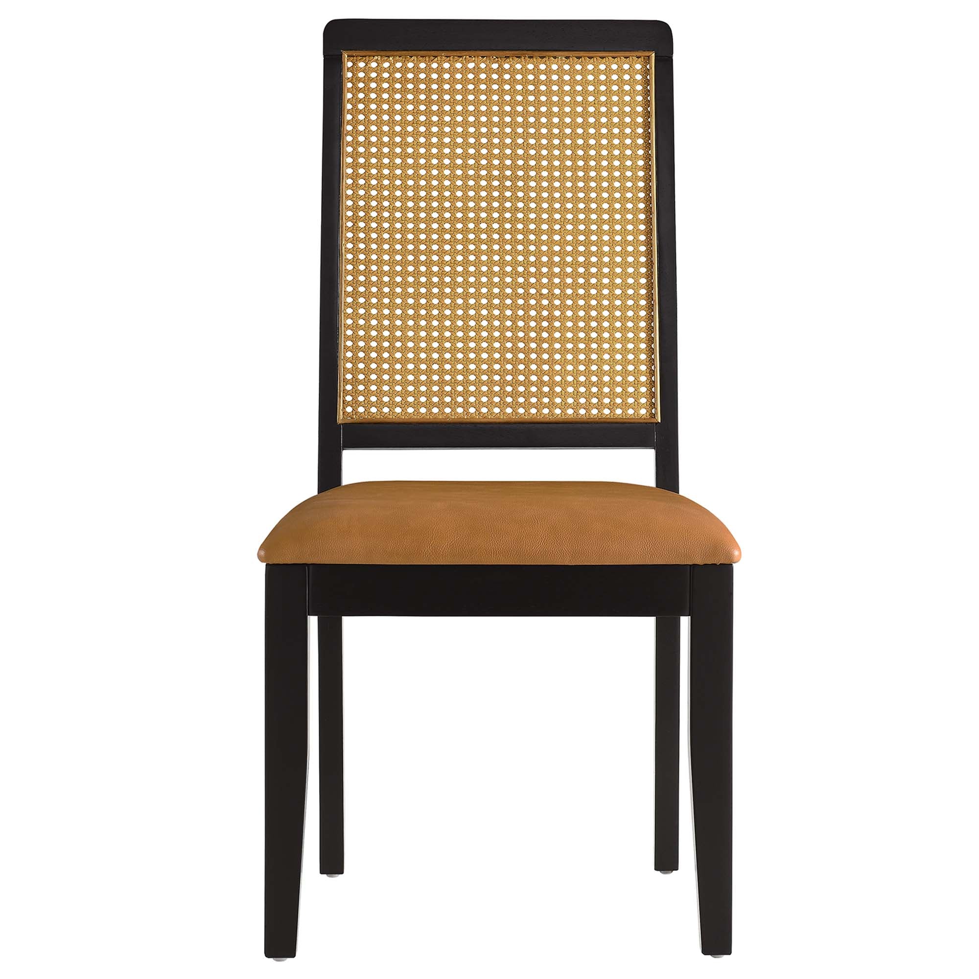 Arlo Vegan Leather Upholstered Faux Rattan and Wood Dining Side Chairs Set of 2, Black Natural Tan