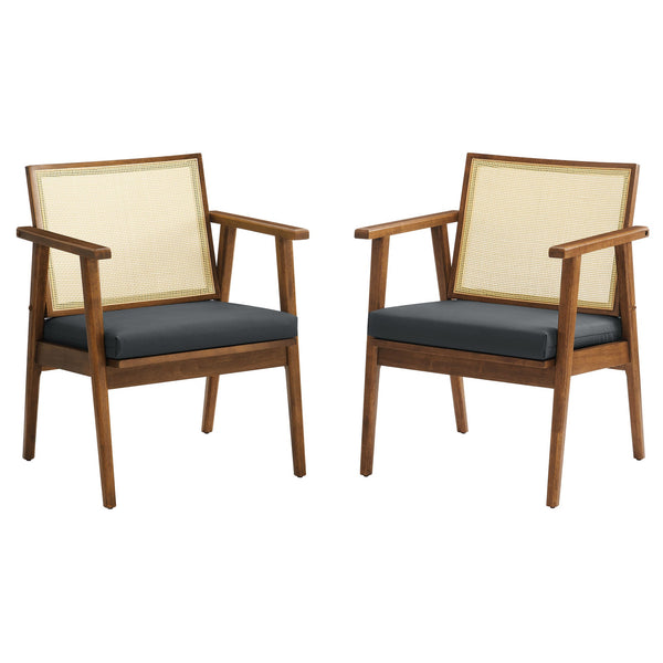 Thera Vegan Leather and Cane Accent Armchairs Set of 2, Walnut Black