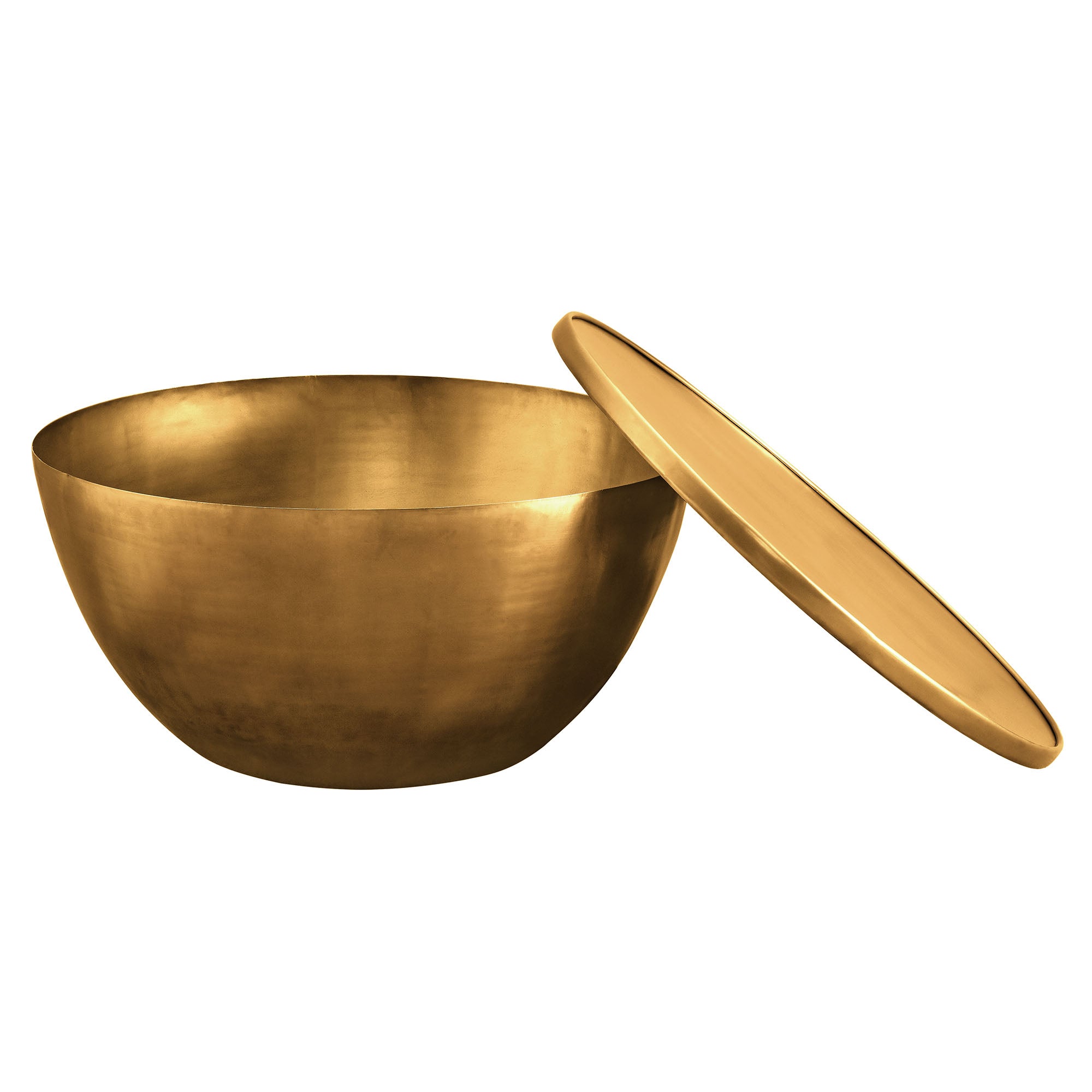 Viora 32 Inch Metal Storage Coffee Table, Burnished Brass