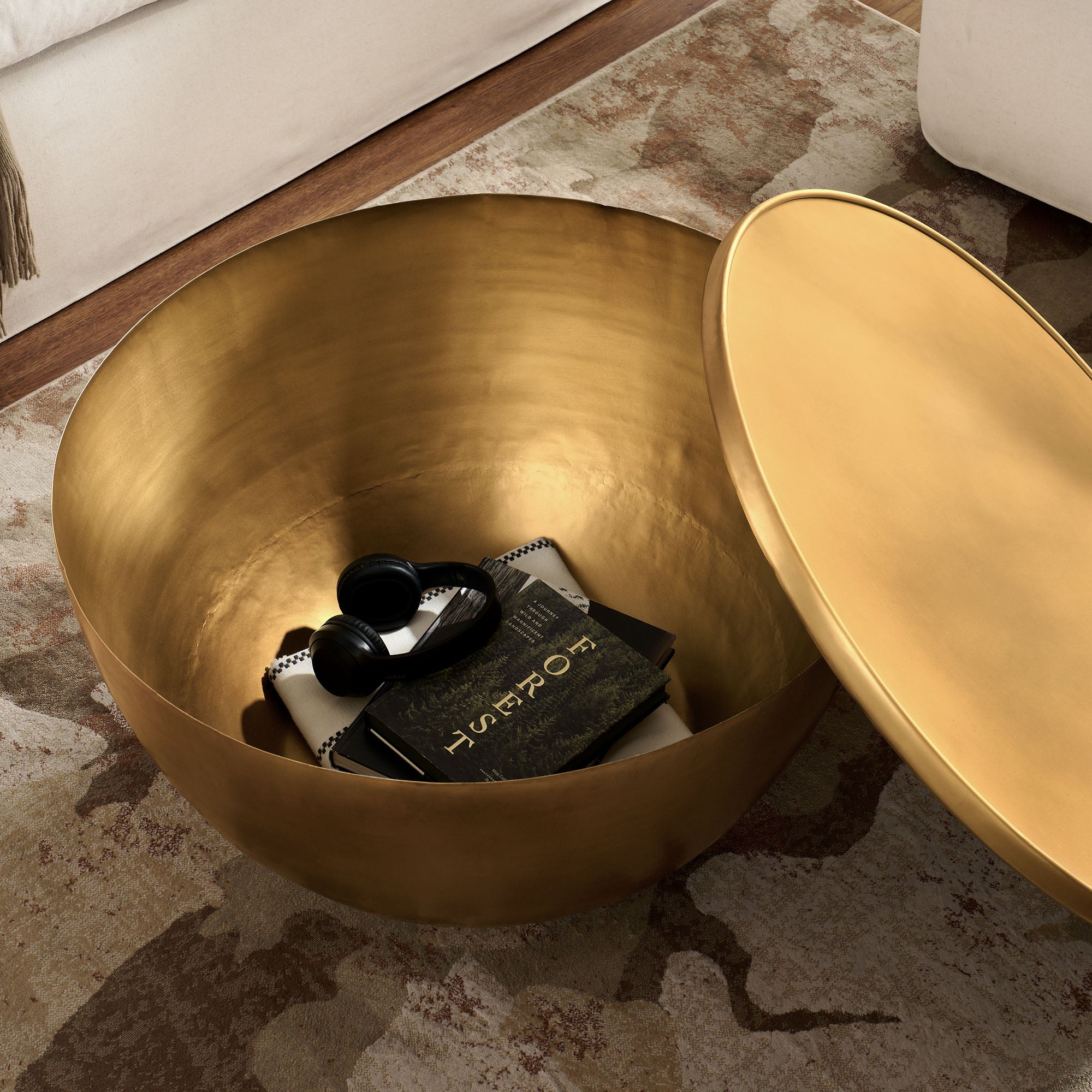 Viora 32 Inch Metal Storage Coffee Table, Burnished Brass