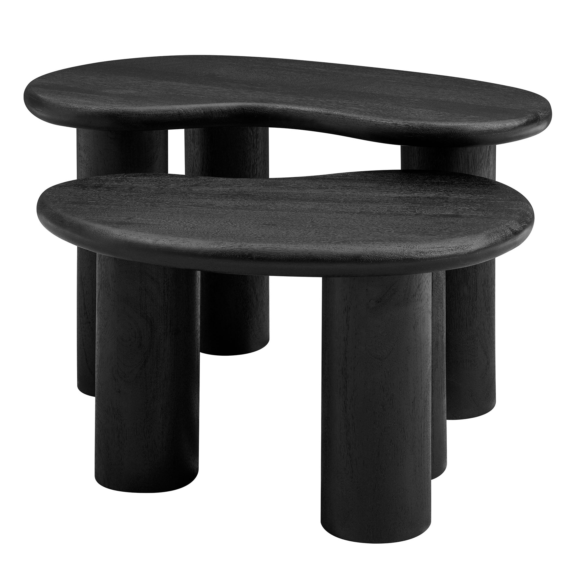 Hackney Mango Wood Nesting Coffee Table Set, Black