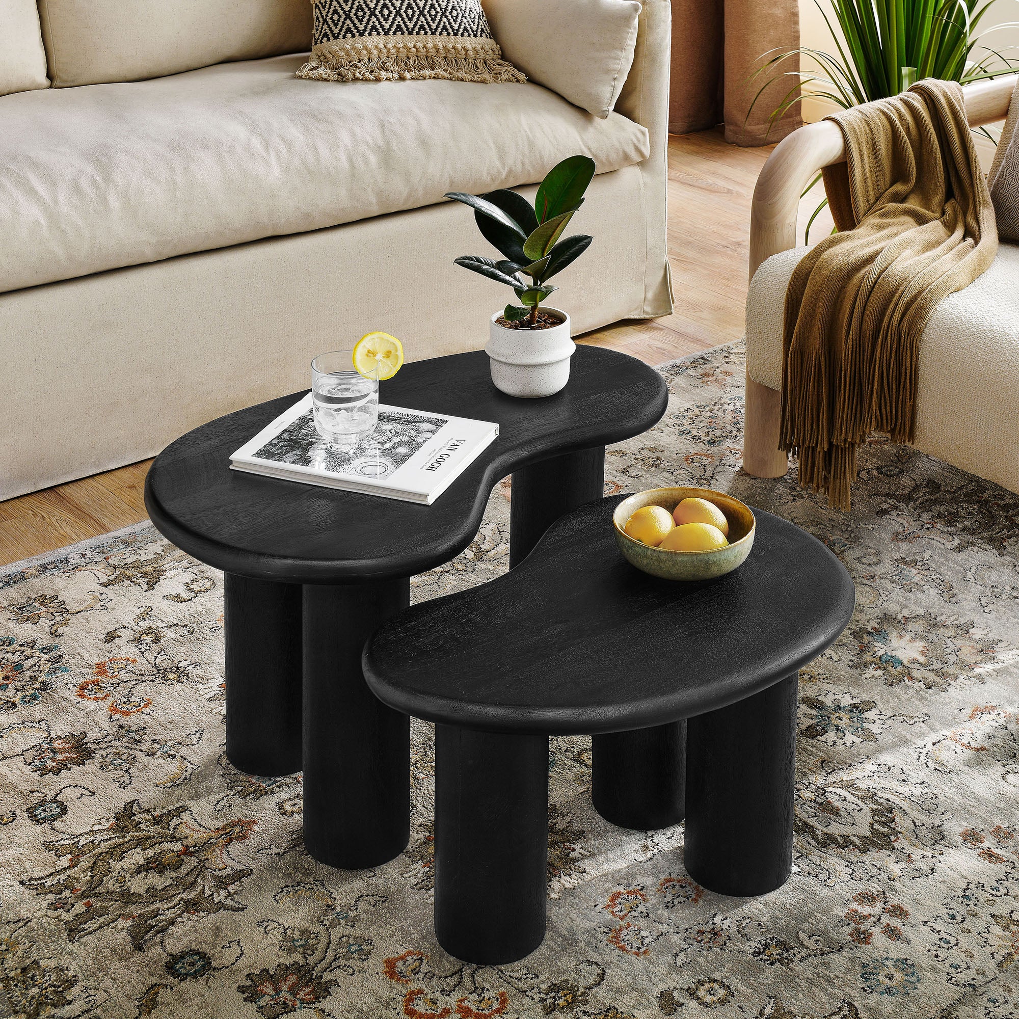 Hackney Mango Wood Nesting Coffee Table Set, Black