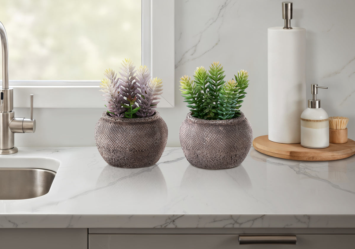 Miranda - Artificial Plant Set Of 2 8" Tall Succulent Table Brown