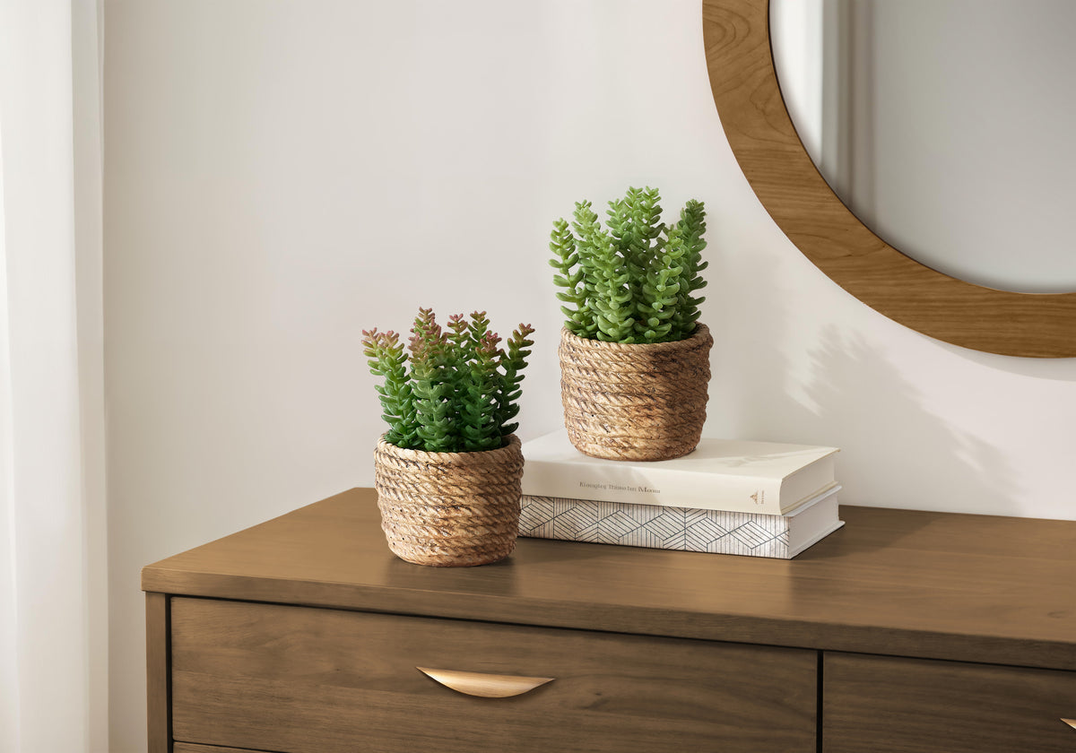 Sherwin - Artificial Plant Set Of 2 7" Tall Succulent Table Brown
