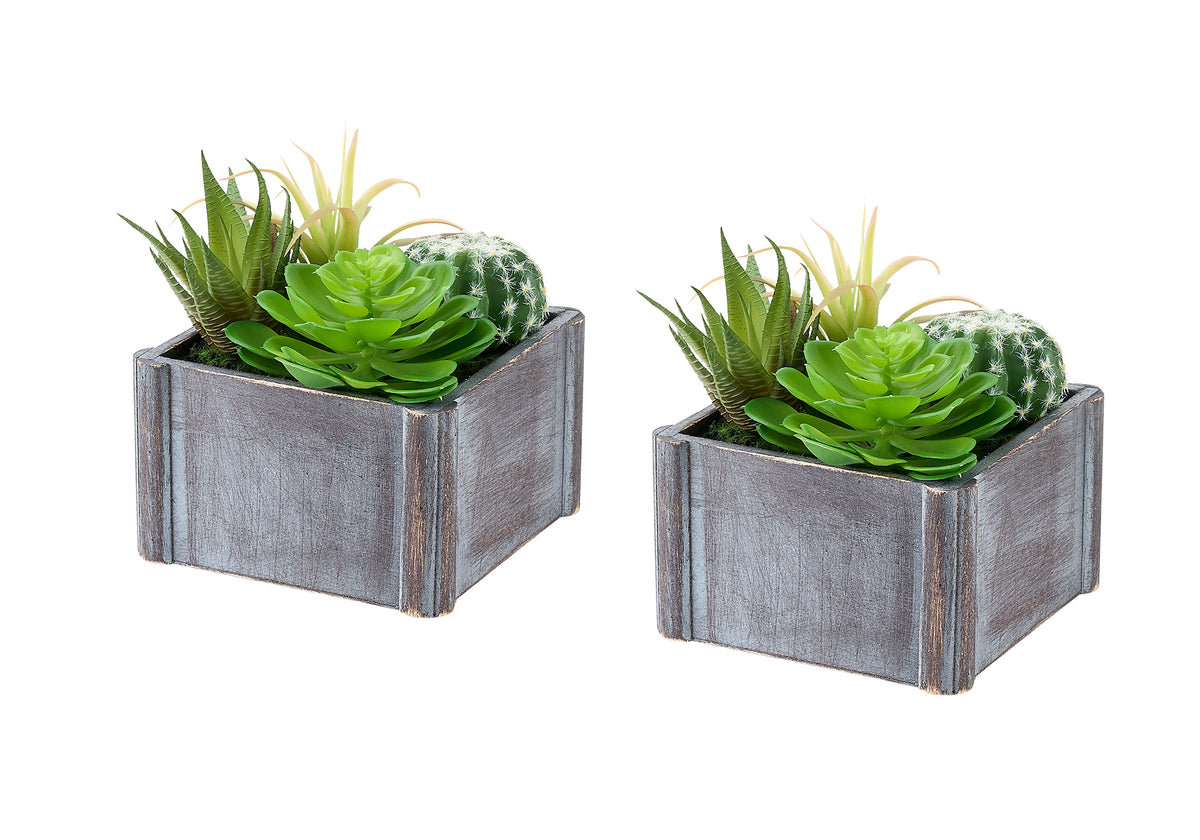 Orella - Artificial Plant Set Of 2 8" Tall Succulent Table Grey