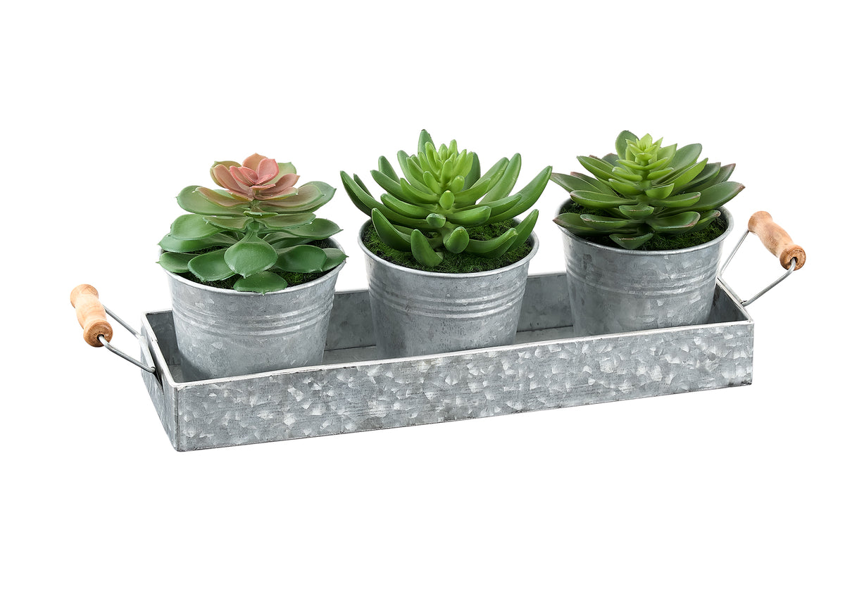 Nairi - Artificial Plant Set Of 3 6" Tall Succulent Table Silver