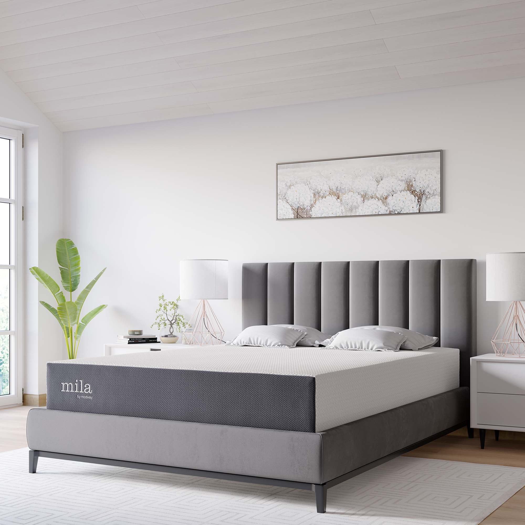 Mila 10" King Mattress,