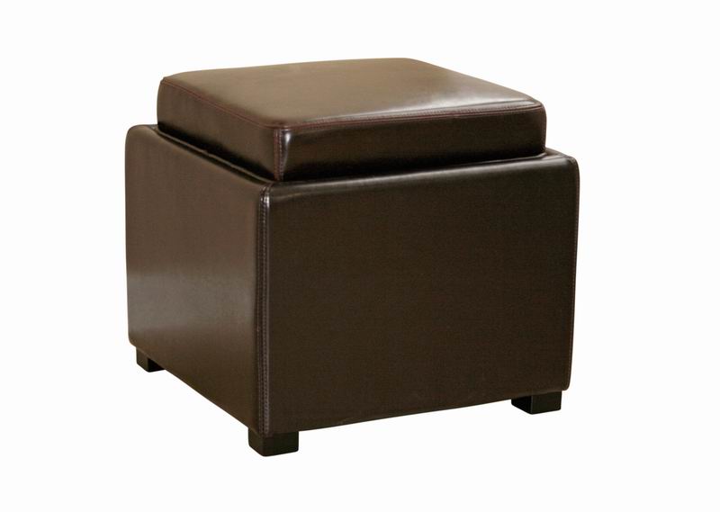 Baxton Studio Dark Brown Tate Storage Ottoman