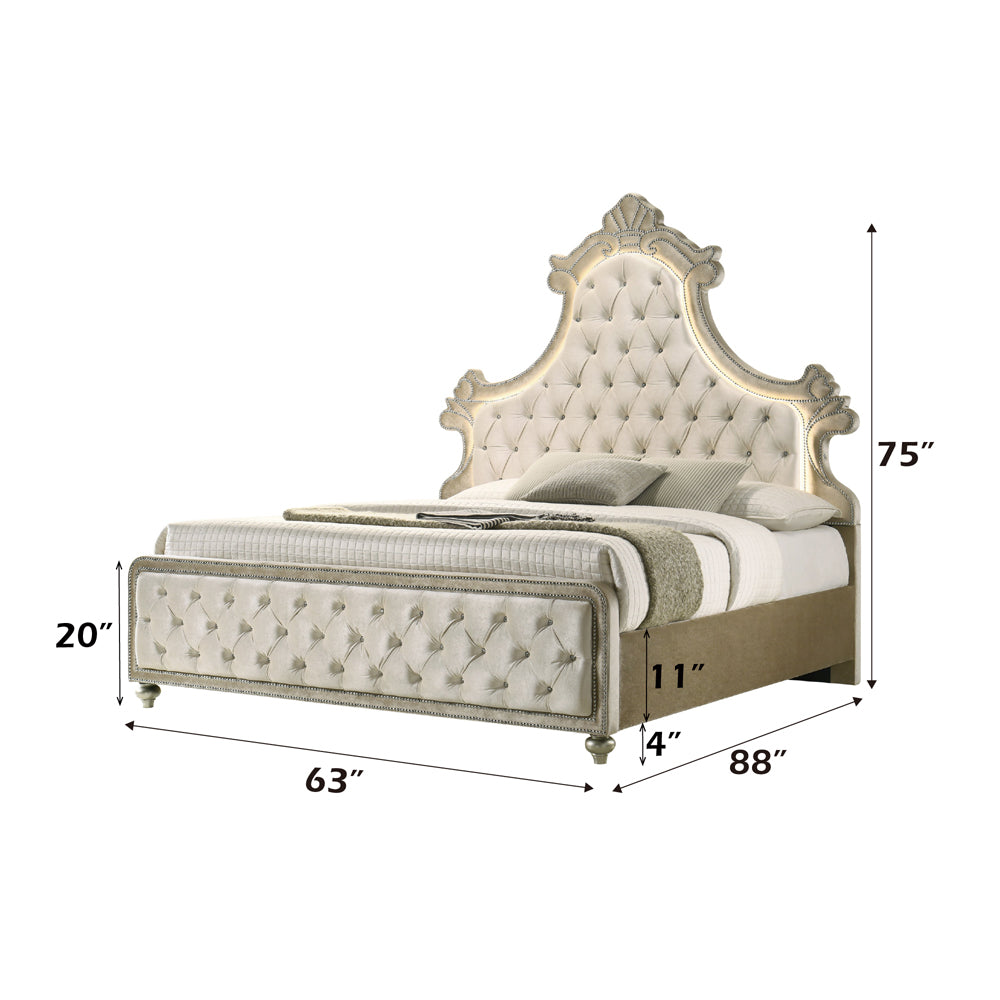 Lucienne Queen Beige Velvet Platform Bed – Modern orous LED Lighting & Button Tufting