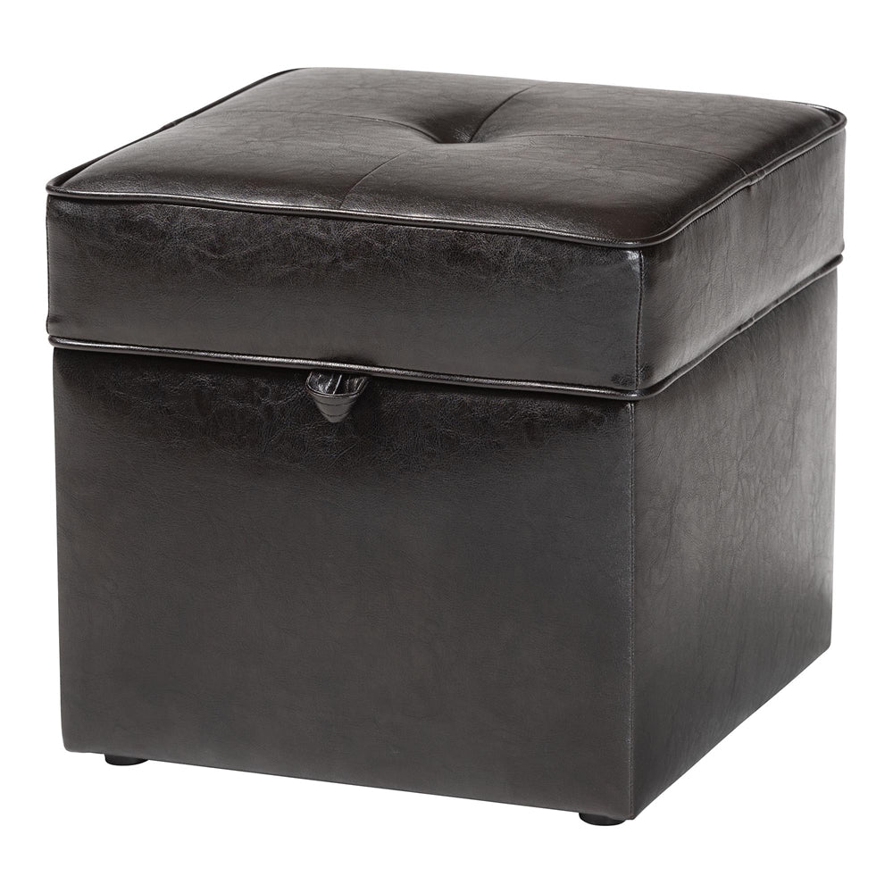 Sydney Brown Modern Storage Ottoman