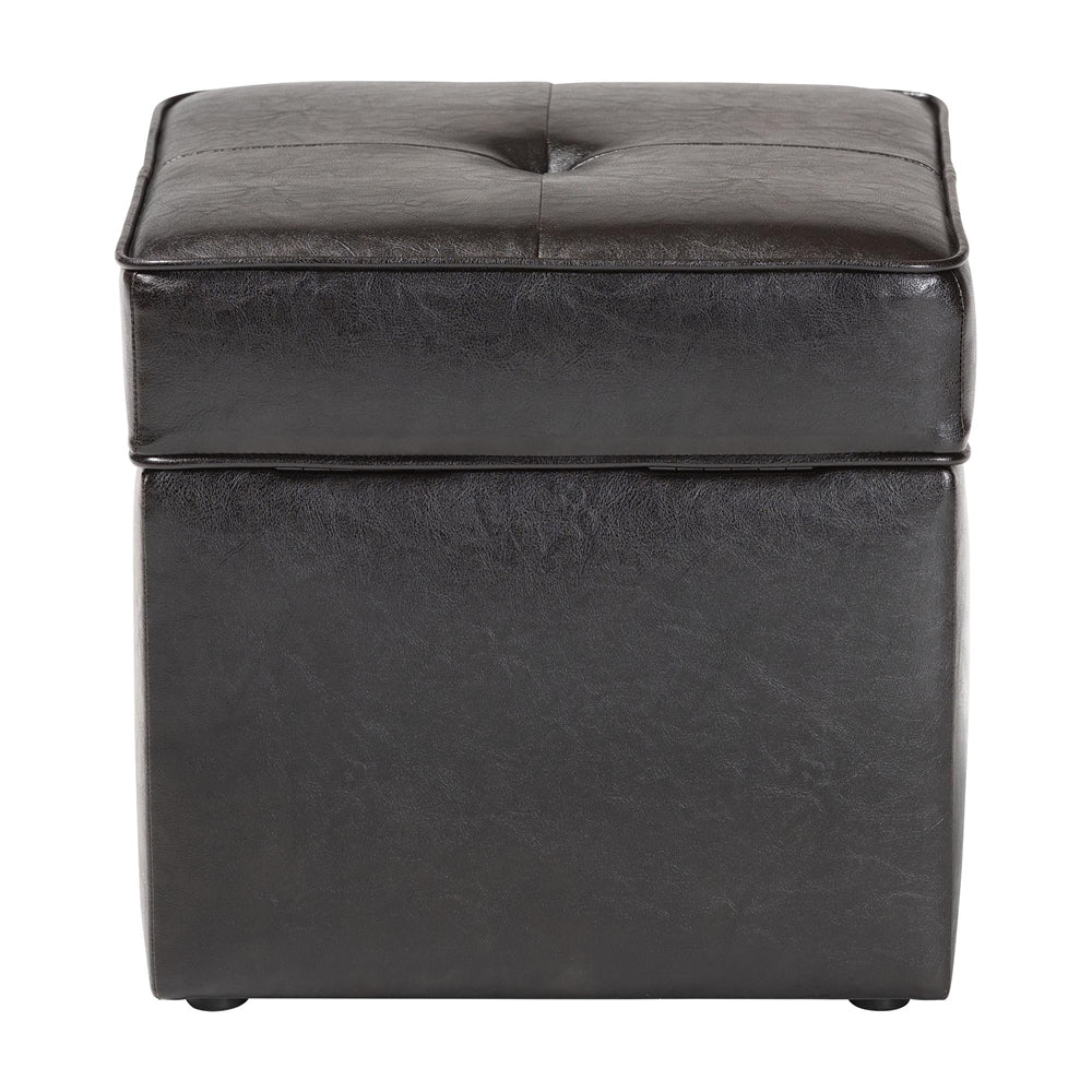 Sydney Brown Modern Storage Ottoman