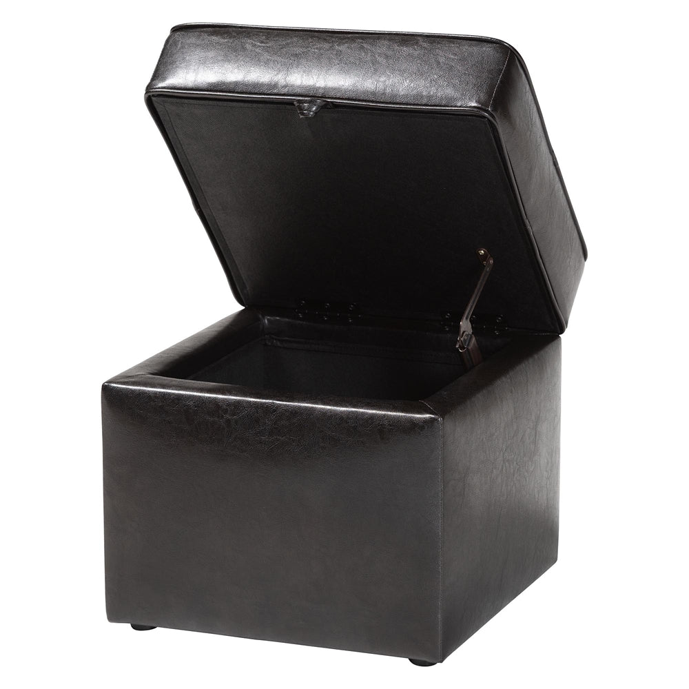 Sydney Brown Modern Storage Ottoman