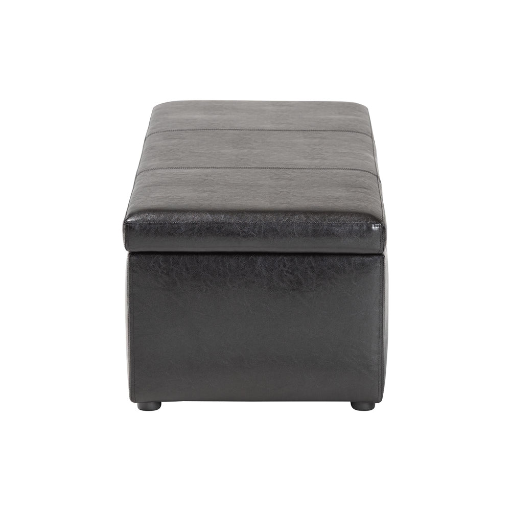 Dennehy Modern Storage Ottoman