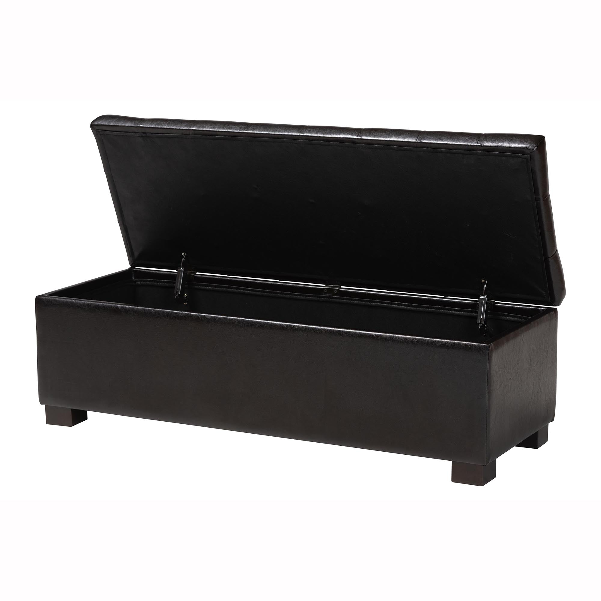 Roanoke Contemporary Ottoman With Storage