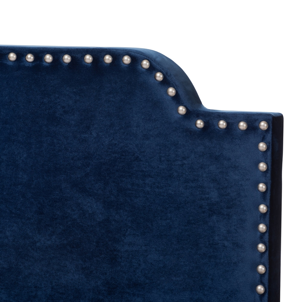 Darcy Luxe and Glamour Navy Velvet Upholstered Queen Size Bed